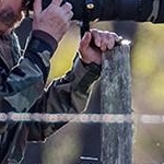 204A0232 Rencontre avec de  drôles d'oiseaux
